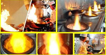 英美環?？萍兼谟托履茉锤采w需求廣泛