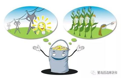 餐廚垃圾、大件垃圾如何處理?小宣來支招!(附垃圾清運熱線)_社會